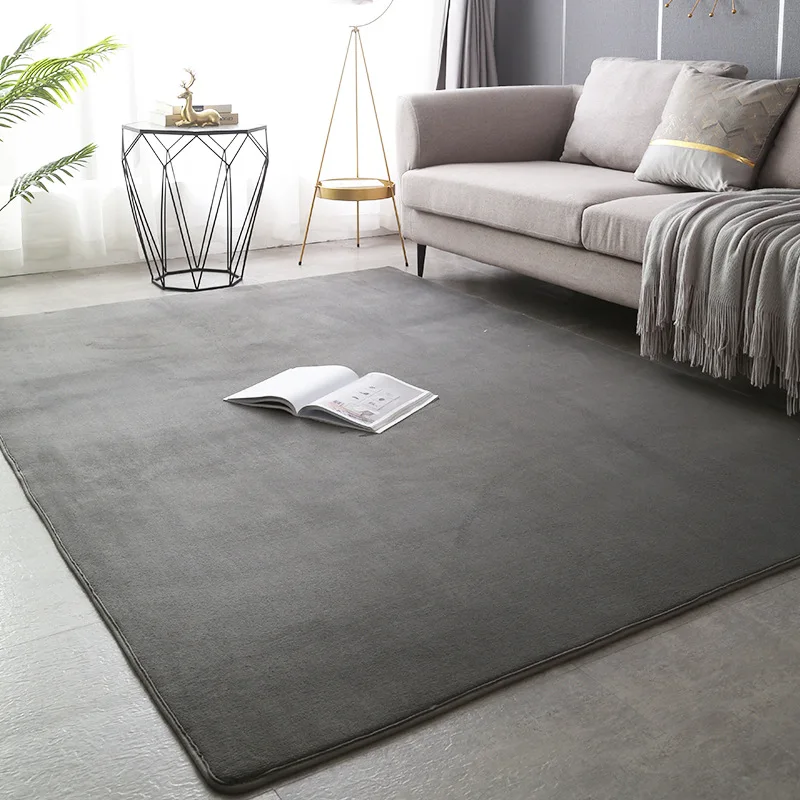 Tapis de salon Japonais en velours de corail – Image 5